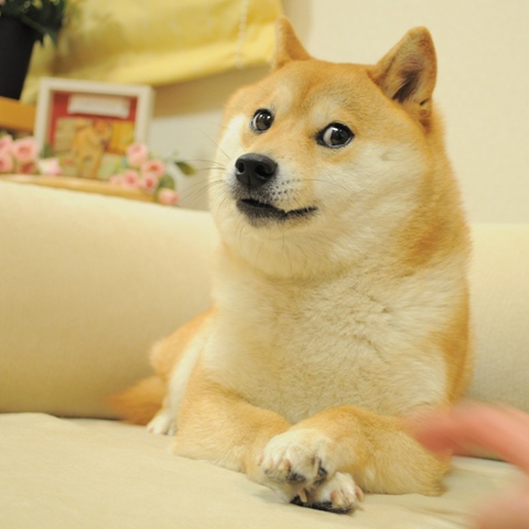 Ben Hoberman portrait