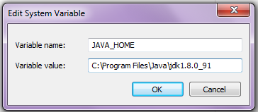Define Environment Variable
