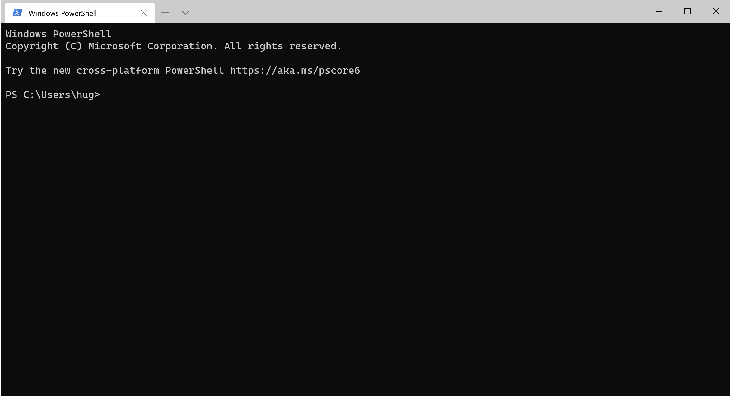 PowerShell Terminal