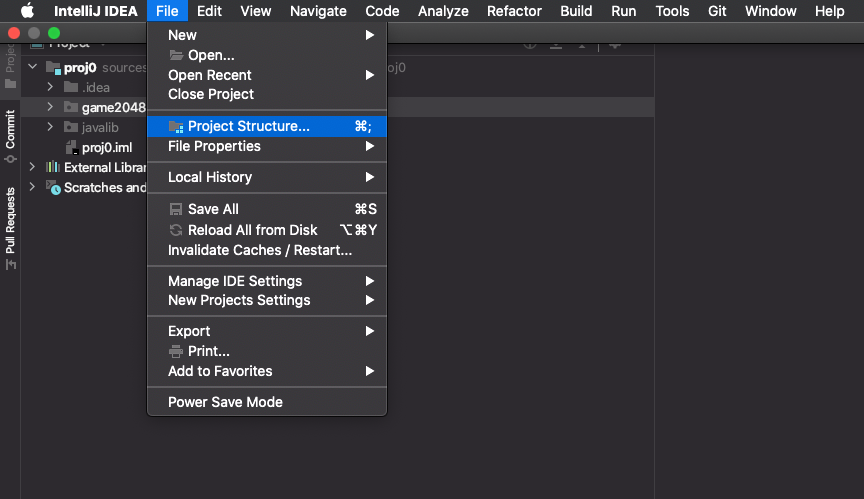 Opening Project Structure